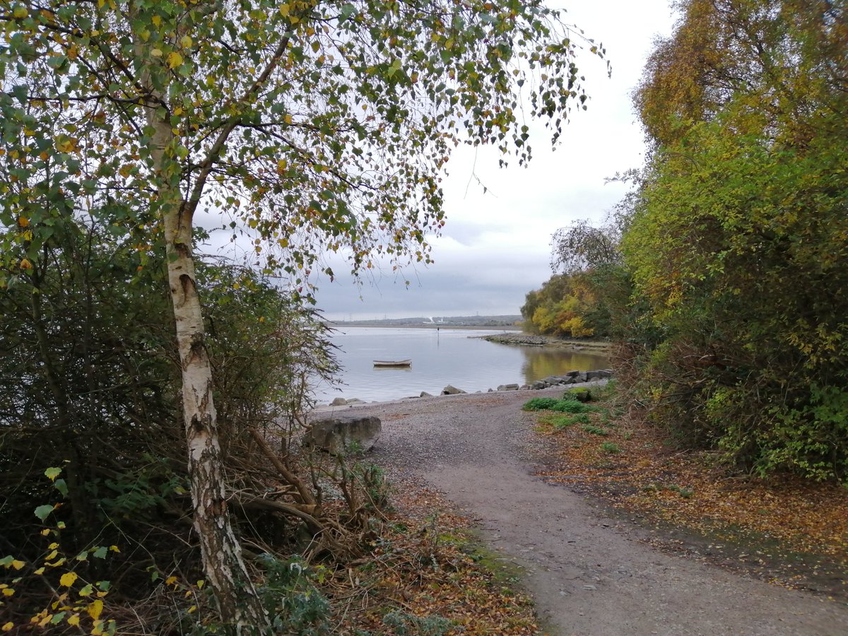 AMcKT's tweet photo. Calm autumnal walk down by the river Dee in #Flint @DerekTheWeather @Ruth_ITV @Sue_Charles https://t.co/xxXWo93OHF