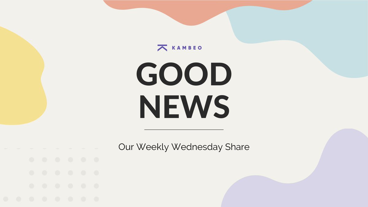 Kambeo tweet media