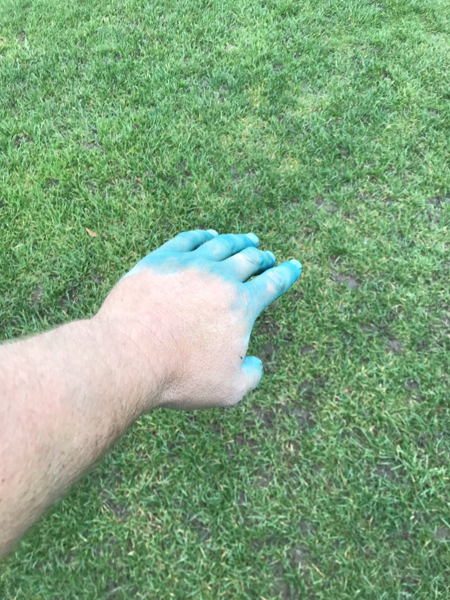 CarelFourie015's tweet photo. Mild temperatures and a spray window 🤔 only one thing you can do @AsfordbyFC ⚽️ #extend #iron #clipless #Tangent @HeadlandAmenity @HeadlandAlex This will see me till right into the new year 👌🏻👍🏻You not sprayed if it’s not on your hands 😂 @leicsfa @nemmtweets Pitches on 🔥 atm https://t.co/RNdbV18s9G