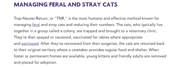 voclo2's tweet photo. @DCist Sorry, for anyone not familiar with TNR, here's the very good reason for one pointy ear and one not-pointy ear! https://t.co/LAf1GyydSn