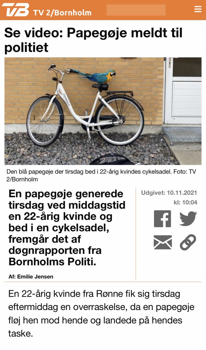 Kjetil Staalesen tweet media