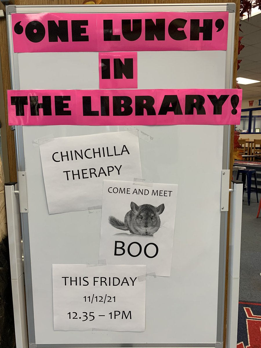 HafCorbin's tweet photo. This Friday during One Lunch in the library…..Chinchilla Therapy! You’ve met our wonderful therapy dogs, now meet @LHS_Science25 cute, cuddly, silky soft and super chill chinchilla, Boo! @LHSEAGLESVA #chinchilla #snuggle #cute @FCPS1News @Fcps1Libraries https://t.co/5nUfurFchl