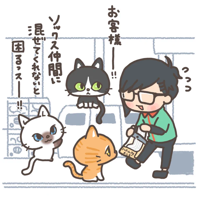 本日は靴下の日っス!
だいたい気が付くと片方が無くなってるっス。。。いったい何処へ。。。

#もちもち #お客様困ります #アルバイト #コンビニ #くつ下の日 #ソックス #猫 