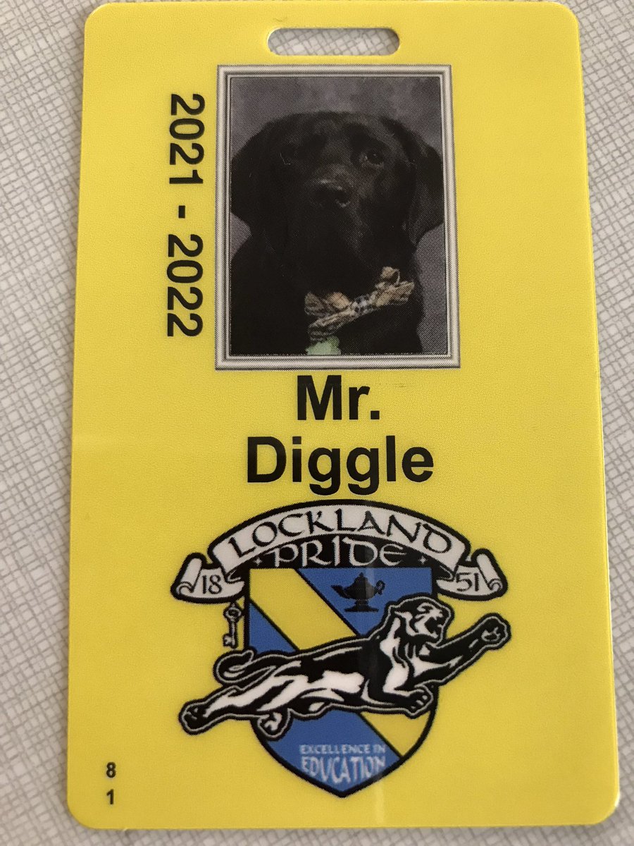 Mister_Diggle's tweet photo. Well I am official!!! I received my staff ID badge today!! #PantherPride #olediggle #workingdog #facilitydog #sittinghandsome @circletail https://t.co/tlOzjIyhMH