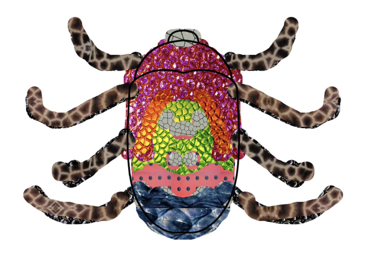 NewBrightonPS's tweet photo. F2 have been designing their own minibeasts in #computing this morning using @purpleMash ๐ท๐๐๐๐ฆ @NBPSComputing #nbpsComputing #nbpsEYFS https://t.co/pld4Ko3Pmt