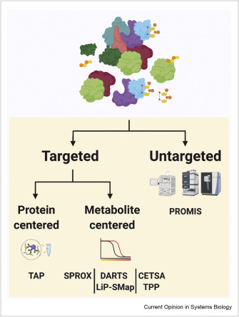 Interested in protein-metabolite interactions? We highlight some experimental approaches here w/ @bti_skirycz  
sciencedirect.com/science/articl…