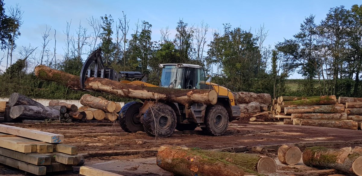 DucerfSA's tweet photo. [FEUILLUS D’AUTOMNE 🌳] La plus belle saison a démarré à la scierie Ducerf ! Dans un cadre poétique, nos grumes sont transformées avant l’hiver. Priorité du moment ? Le sciage des grosses épaisseurs ! ✂️

#ducerf #scierie #bois #boisdefrance #boisfrançais https://t.co/hnDEsF5glc
