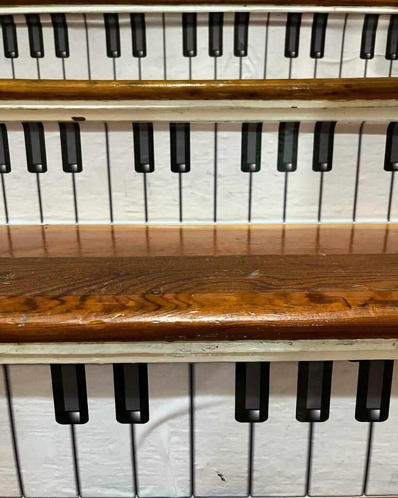 metoonola's tweet photo. My stairs 

#pianoteacherlife #stairart #pianoteachingideas #piano #pianoteaching #pianolessonsforadults #pianonerdsunite #musicteachers #musicteachersofinstagram #musicteacherlife https://t.co/ZW3Qmsq6lA https://t.co/IIXhAjLcuV