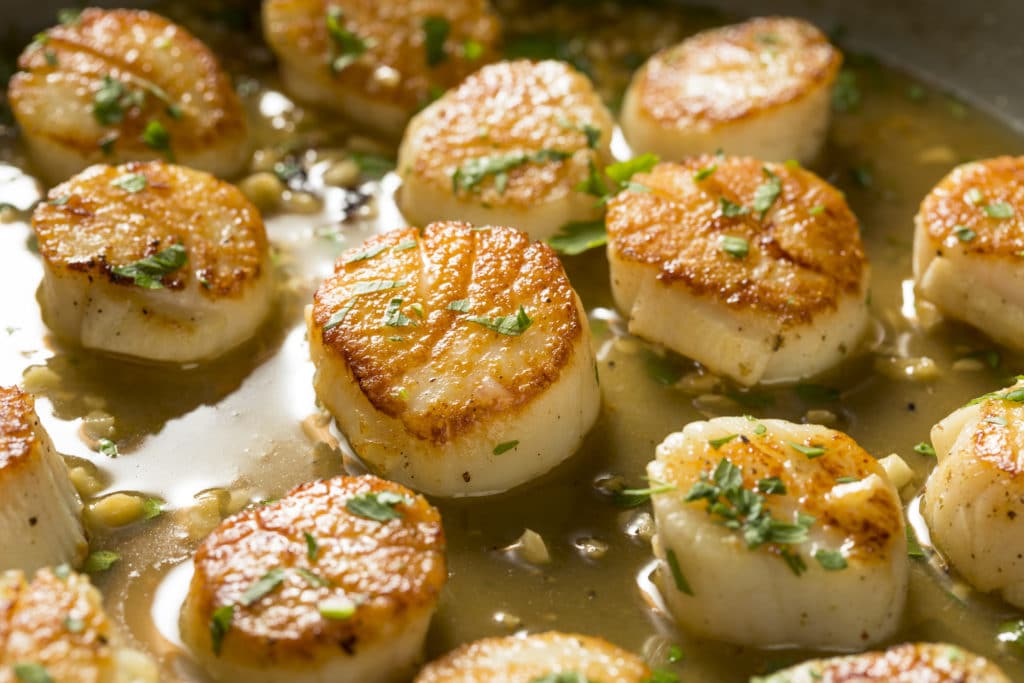 LundsFisheries's tweet photo. For recipes on how to make some delicious seafood with Sea Legend products, visit https://t.co/Y9SO4kH4oe #sealegend #sustainability #lunds #lundsfishery #lundsfisheries #seafood #knowyourfood #knowyourfoodsource #food #seafoodlover #seafoodrecipes https://t.co/97f9O8gnbn