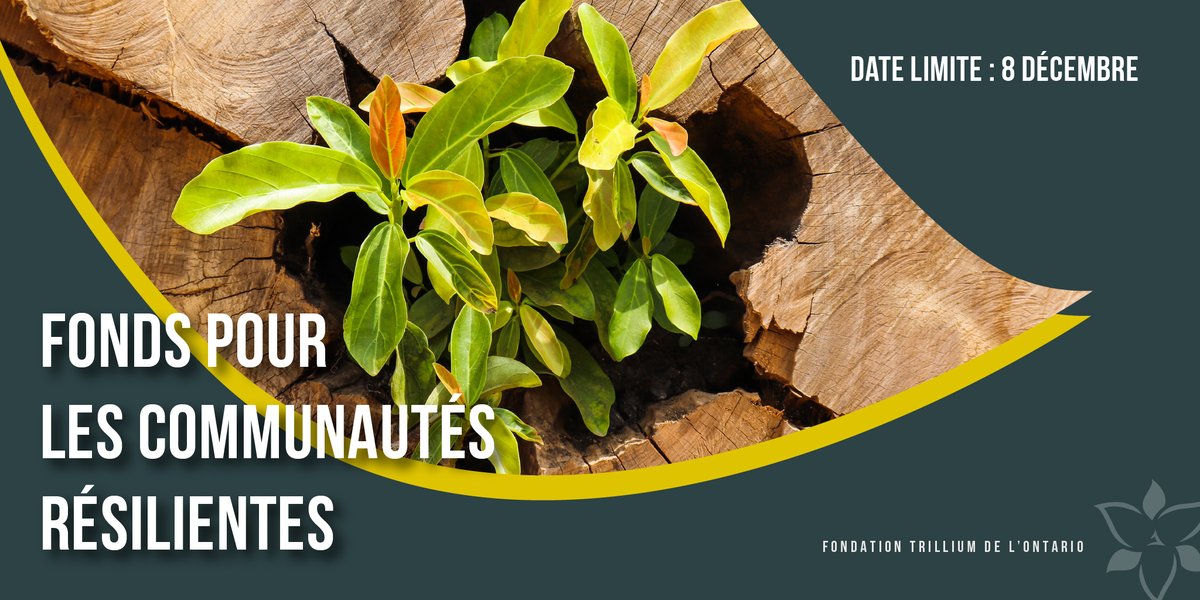 AJD est le jour! Le portail des demandes de subvention du FCR est ouvert! Soumettez une demande du Fonds pour les communautés résilientes d’ici la date limite du 8 décembre ici : otf.ca/fr/nos-subvent… #CommunautésRésilientes