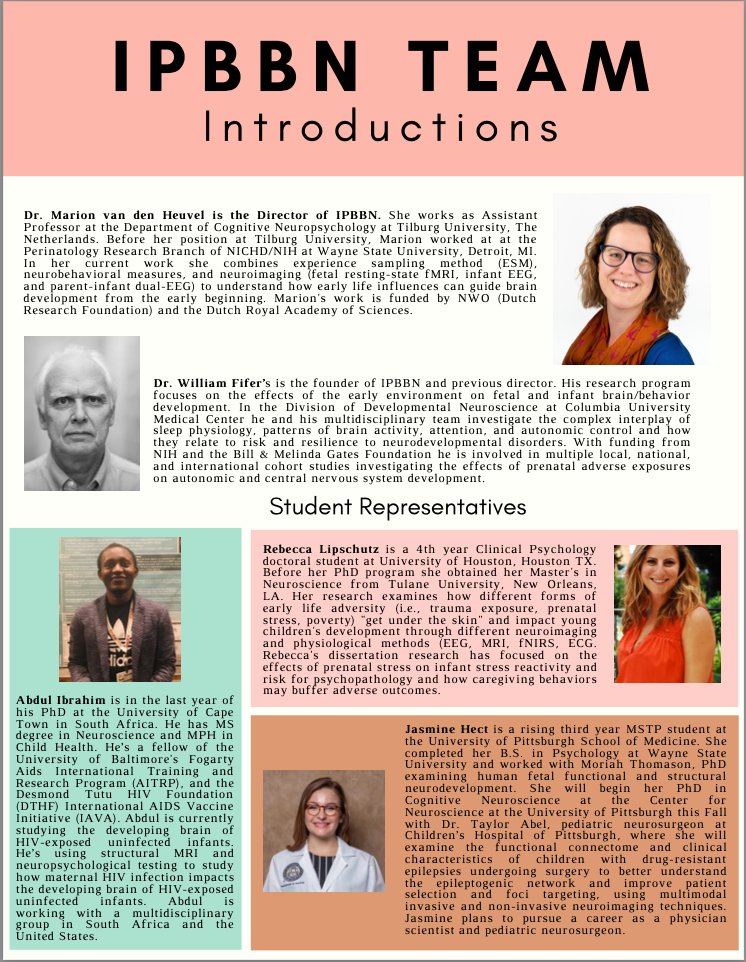 i_fibb's tweet photo. ✨Want to learn more about the International Perinatal Brain &amp; Behavior Network? Our Summer newsletter highlights our team members, related research, and tips for the academic job search! 👶🤰🧠 #ISDP2021 

@MvdnHeuvel @rebeccasara14 @JasmineHect @abdoolsocio @mayalrosen @drxilma https://t.co/a8jPMNYM21