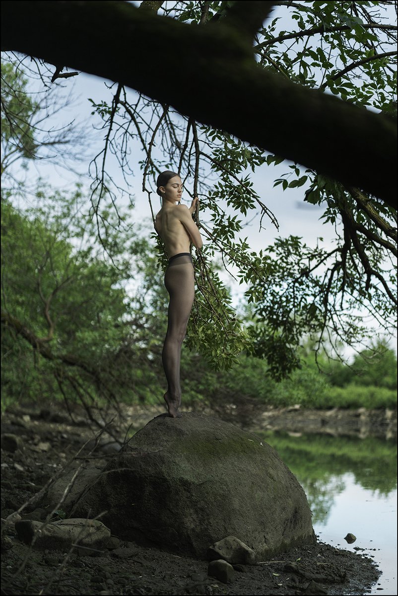 Ballerina Project tweet media