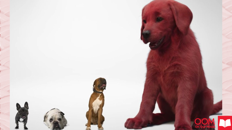 Scholastic tweet media