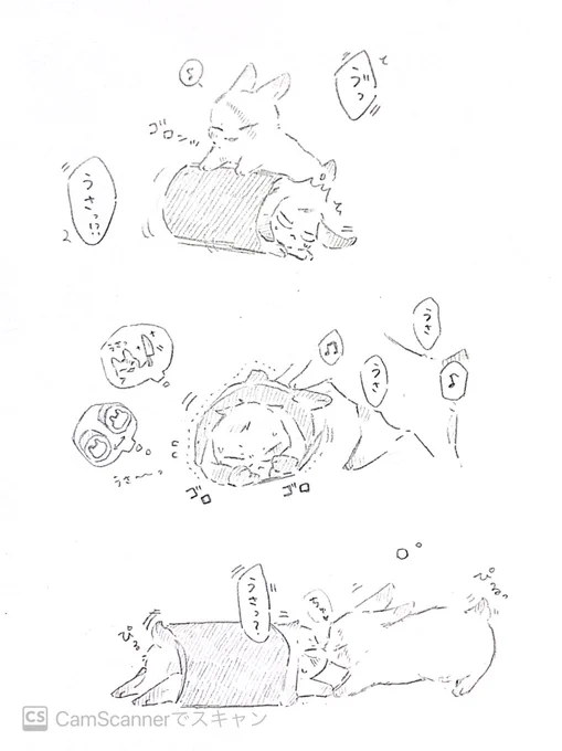 おまけ 手巻きうさにされてるうさトレ うさうさトレジェイ 