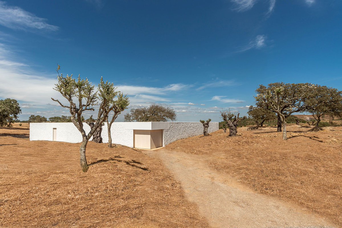 Arqenblanco's tweet photo. Casa da Volta - PROMONTORIO + João Cravo
Imagen: Alexandre Ramos + Luis Viegas
________________________________
#casa #promontorio #joaocravo #alexandreramos #luisviegas #grandola #portugal #arquitecturaportugal #arquitecturaportuguesa #arquitecturaenblanco #arquitectura https://t.co/6nAuIuSAF8
