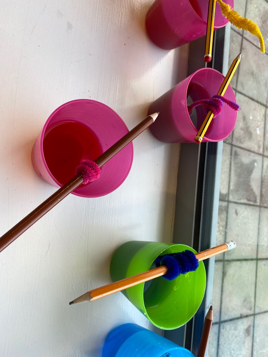 Broomhouse Primary 5 tweet media