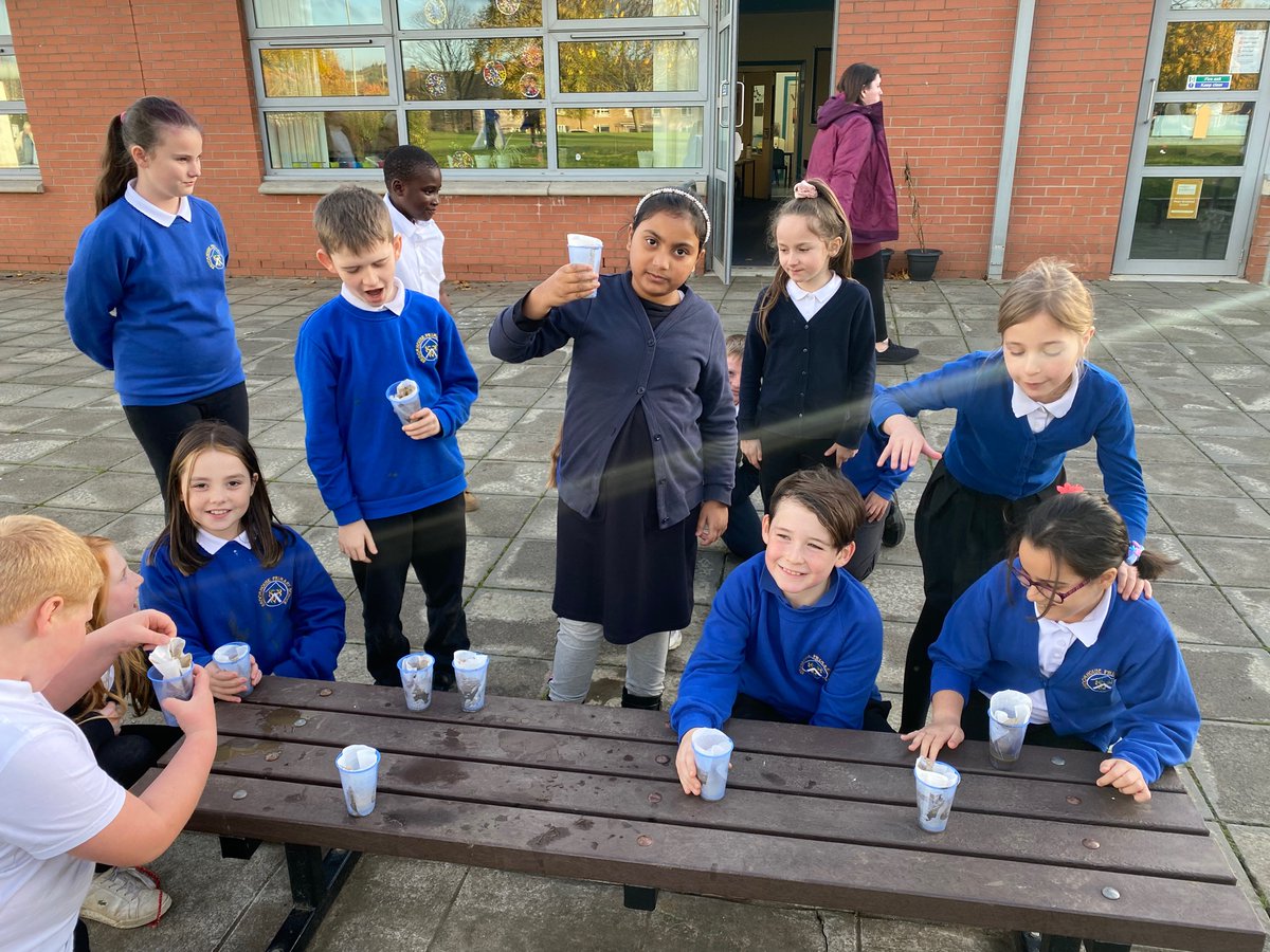 Broomhouse Primary 5 tweet media