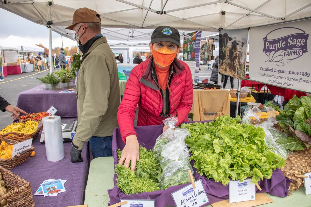 Autumn greens will brighten your day! Find our greens on the BFM Drive-thru online store and other local outlets—this week! mailchi.mp/42d1aa46d1a6/a…