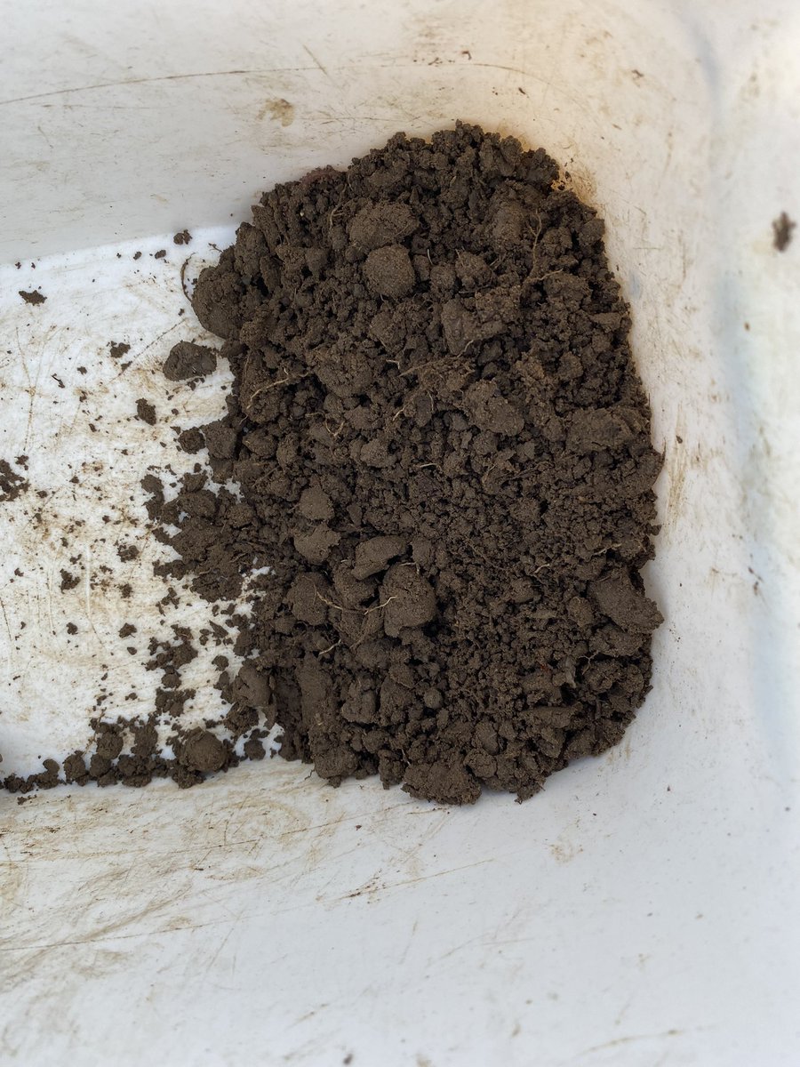 dfdymond's tweet photo. Soil sampling in this great catch of frost seeded clover. Wish it was this even every year. https://t.co/YF0ud1NHhn