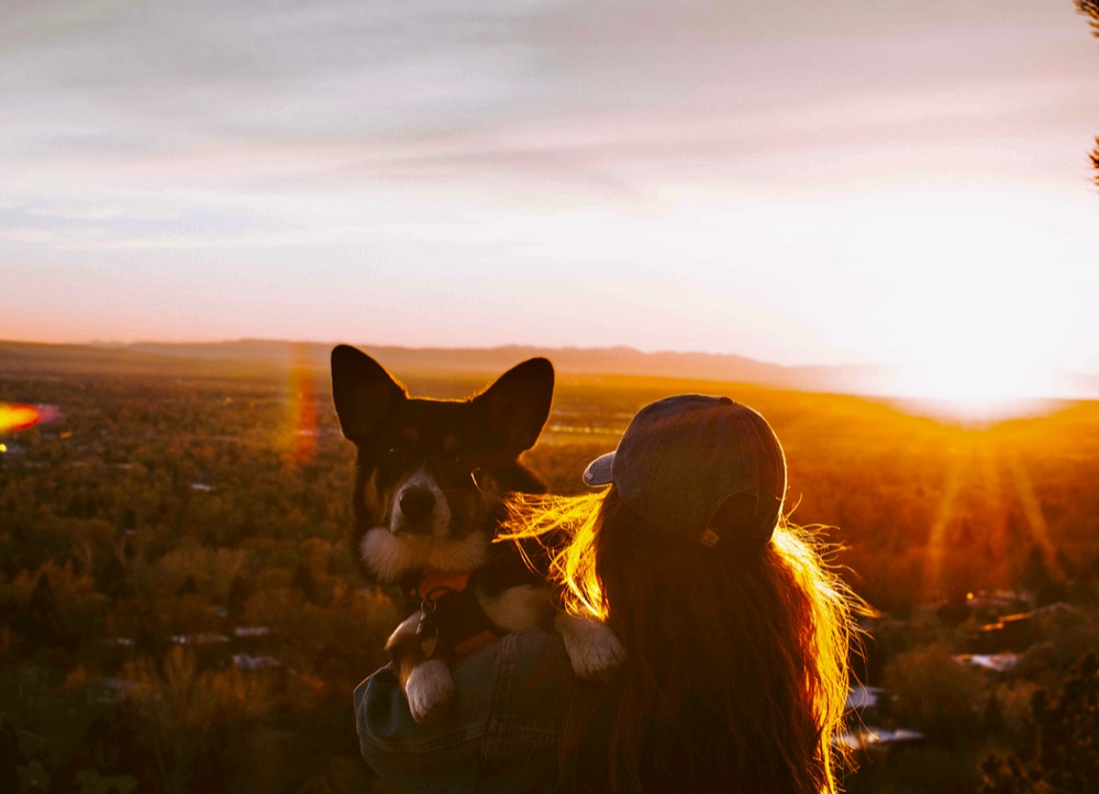 everlightsolar's tweet photo. Mid-week Heart Melt 🧡
Hi, I'm Beckett! My human is Madeline, a SME Recruiter at Everlight🍁
Hi, we are Hilary's girls. Hilary is a Recruitment Assistant at Everlight🐓
Hi, I'm Houdini. My human is Gabrielle, a Marketing Assistant at Everlight🐱
#EverlightPets #November https://t.co/NrcHa73P9P