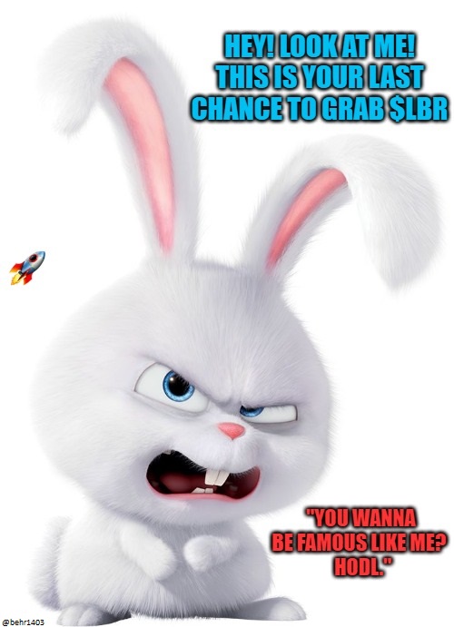 behr1403's tweet photo. The list grows: HOTBIT coming tomorrow! You're still in time to grab a bag of $LBR just don't be late because you'll regret it forever. It's now or never!! 
@L_bunnyrocket #littlebunnyrocket #LBRmemeoff 
@elonmusk @TimDraper @SatoshiLite @cz_binance @ToneVays @RodrigoHeralz https://t.co/VfLHNWejRv