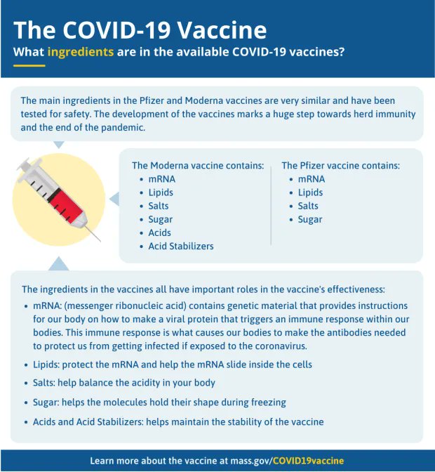 masssupport_org's tweet photo. For info about the #COVID19 #vaccine for #youth and young adults, visit: https://t.co/G2I51LN9Ys https://t.co/lkG8u48ewc