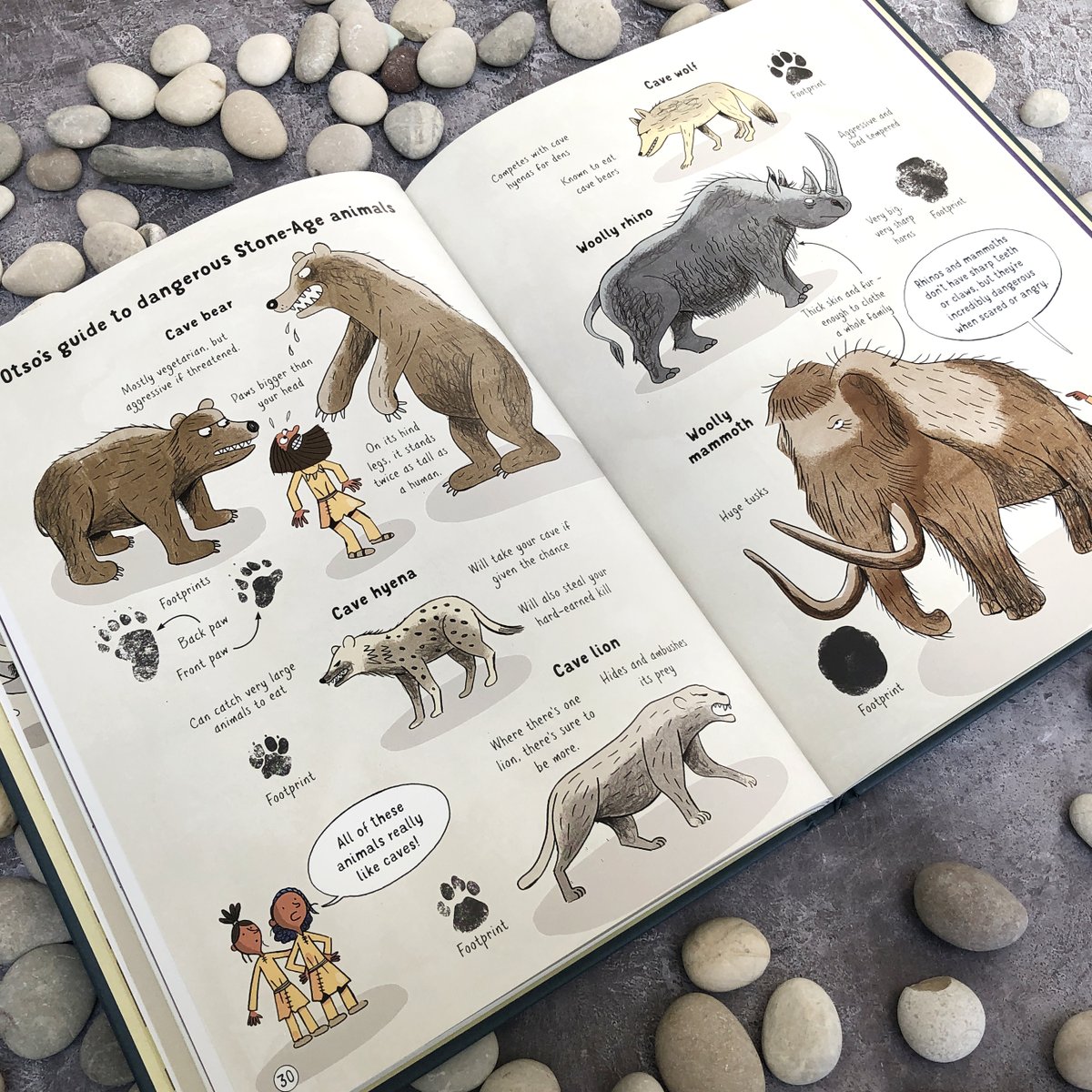 Usborne Publishing tweet media