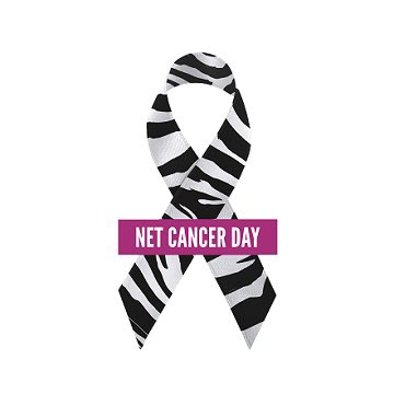 Today is Neuroendocrine Cancer Awareness Day. I’ve been living with Pancreatic Neuroendocrine Cancer for 3,046 days.
There’s still no cure. There’s still no significant funding. And there’s still very little awareness. Please RT and help me spread the word. 🦓 🖤🤍🖤🤍🦓🖤🤍🖤🤍