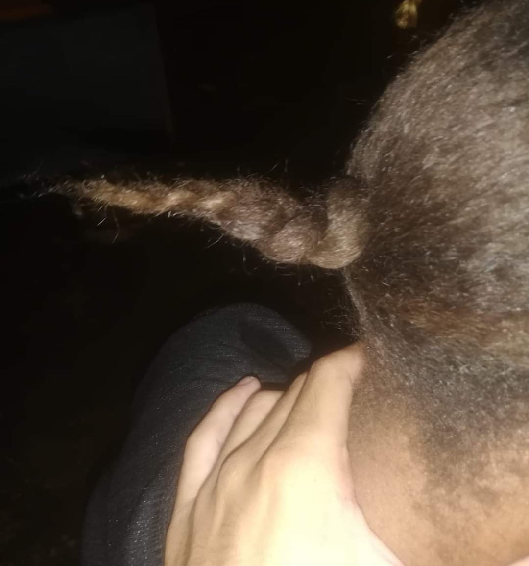thearhm's tweet photo. Ella : amor jalame el pelo 😈🥵
El pelo : https://t.co/1XjuD96QuB