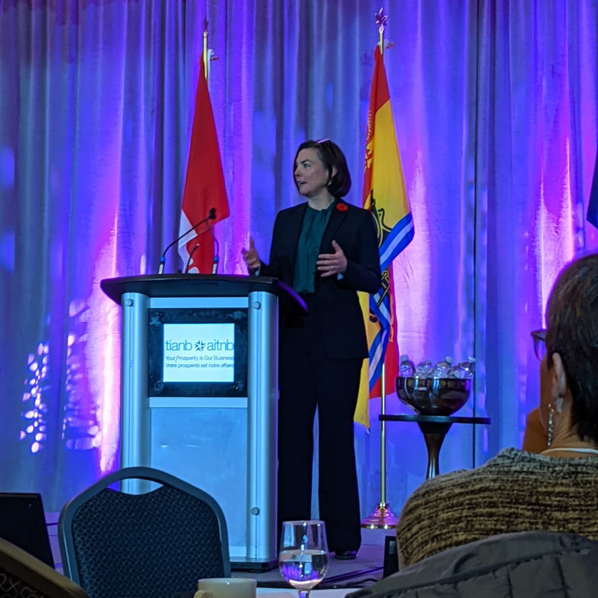 Tourism Summit 
Change Management to create an vibrant, abundant future in NB! Connection to the NB people and our welcoming nature! 
Stay and Play

#crabbemountainn #TIANB #explorenb #DestinationNB #destinationnackawic #Tourism #TourismRecovery #destination #family #friends #fun