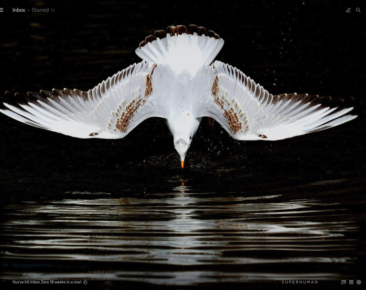 Hitting inbox 0 is its own reward, but <a href="/Superhuman/">Superhuman</a> makes it extra special by showing us pretty things when we clear out our emails. This one got a gasp from me today. Roughly 10 seconds passed before a new email came in, but still! Stunning!