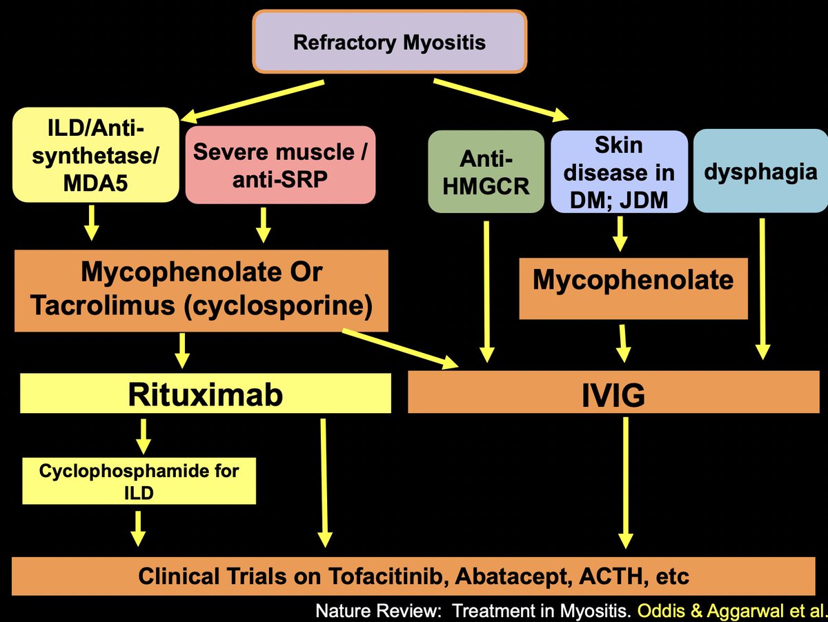 VeenaRheumMD's tweet photo. Dr Aggarwal on treating refractory myositis
#ACR21 #ACRAmbassador https://t.co/PZUGx9khsQ