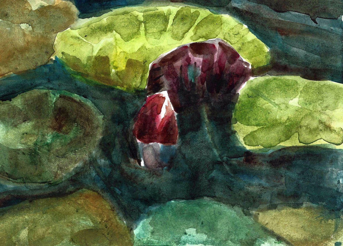 OfSedas's tweet photo. I am happy to announce I joined the @worldofv_art family 🖤.

To 🥳 - my first #nftart drop of the Nature art series

"Pink Water Lily" - 50/50 - 985 WoV

https://t.co/lgSMgiOm0g

More coming soon from my art series - https://t.co/MKPXYK1iQI

#nftcollectors #CleanNFT #NFTartist https://t.co/jhJOtcRi3B