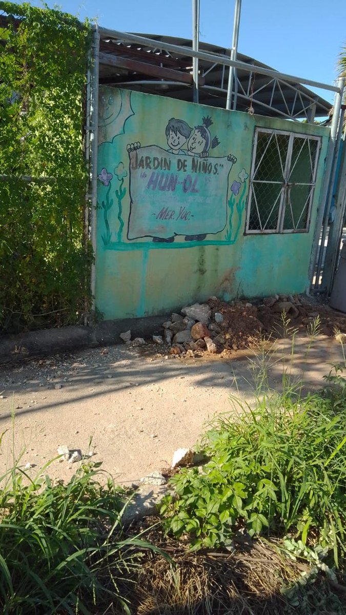 Omargalaz's tweet photo. Por este medio, se solicita la intervencion del 
@AyuntaMerida
@RenanBarrera
@MauVila , para gestionar la limpieza de la maleza; que cubre las aceras lo cual dificulta caminar en ellas. Calle 29a x 10a y Col. San pablo ote. Gracias https://t.co/qDjx4IqNNX