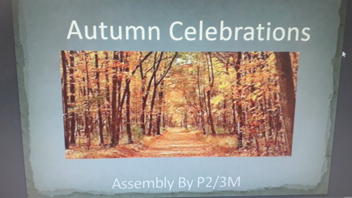 SeafieldHT's tweet photo. P2/3 are leading the Learning this week with all things Autumn ππ #autumnassembly π¦ Thank you for sharing π¦π https://t.co/UjkOe8BRsf