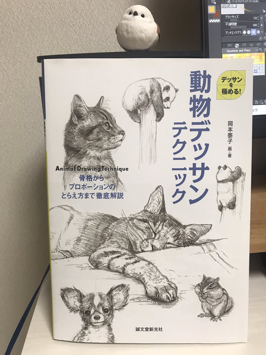 この本をお手本にして描いてます✍🏻

色んな動物のイラストが描いて見てるだけでも楽しい本です☺️ 
