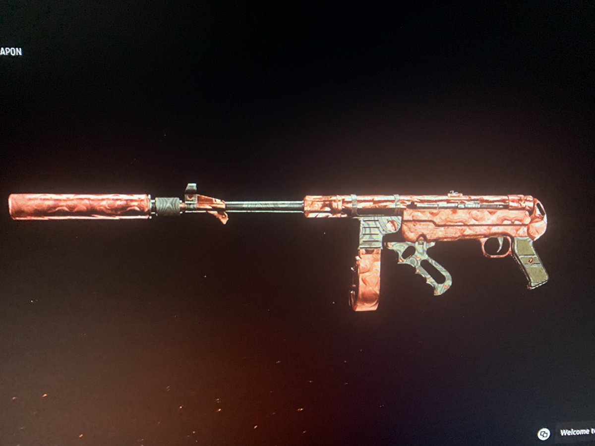 supermanofstil1's tweet photo. Two camos finished in one day and several more on the way! The grind is real! #Vanguard https://t.co/xQmlVd7mq7