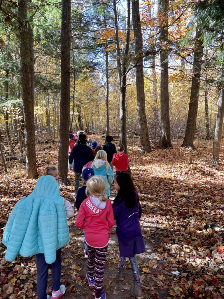 Grade3EFI's tweet photo. Hard work and beautiful day ☀️ call for a Nature Walk! @StCofA_HCDSB https://t.co/bGWjxkc2zg