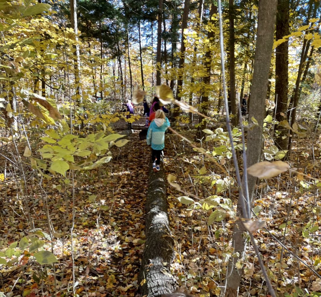 Grade3EFI's tweet photo. Hard work and beautiful day ☀️ call for a Nature Walk! @StCofA_HCDSB https://t.co/bGWjxkc2zg