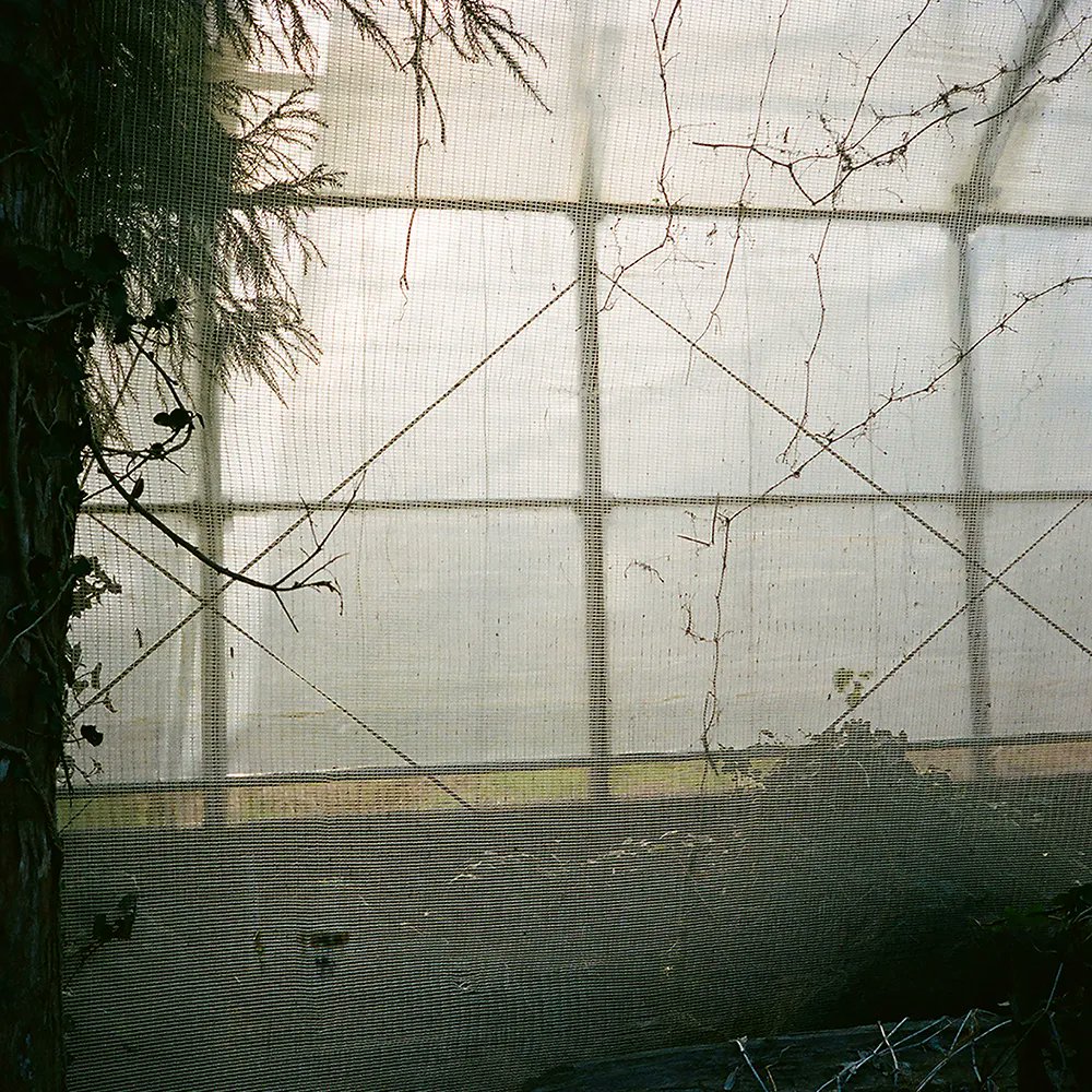 SVA BFA Photography tweet media
