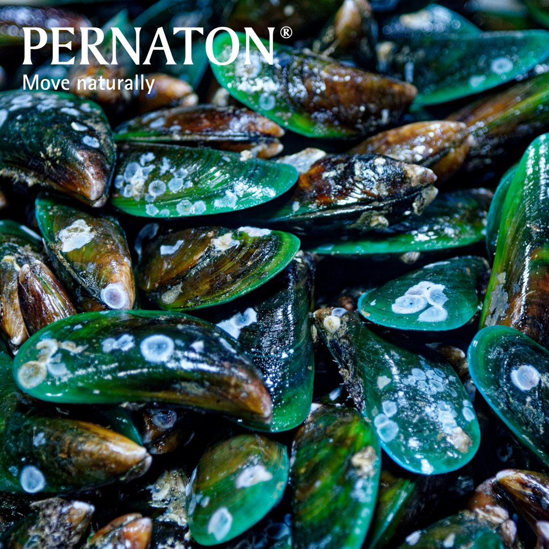 PernatonUK's tweet photo. The original Perna extract of the New Zealand Green Lipped Mussel (perna canaliculus) supplies the body with essential nutrients that give vital support, among other things, to joint function. 

Find out more about our ingredients here: https://t.co/BEByJw55xc

#MoveNaturally https://t.co/mX4P6aYoch