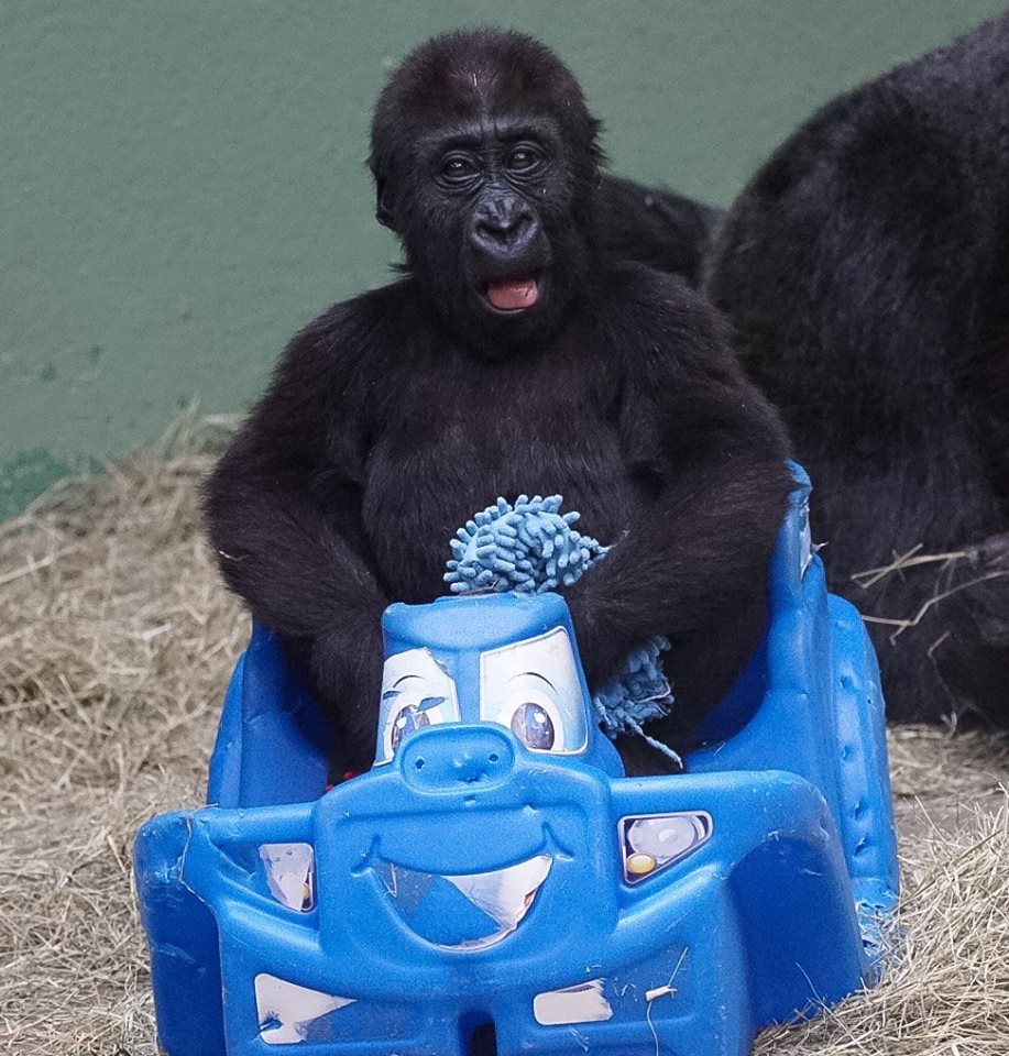 <a href="/PGTipMonk/">Tea Monkey</a>