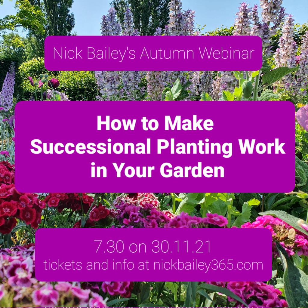 Just wanted to let you know about my Winter Webinar on the 30.11.21 . This year the focus is Successional Planting. Details and tickets on my website nickbailey365.com Hope you can make it! @GdnMediaGuild @GardenNewsmag @GYOmag