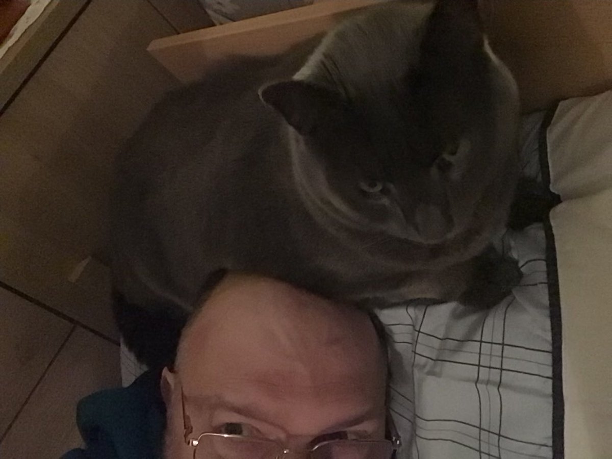 lookoutchairguy's tweet photo. I have a new hat. He’s called George. #catisthehat #warmhead https://t.co/g66vg3lDK0