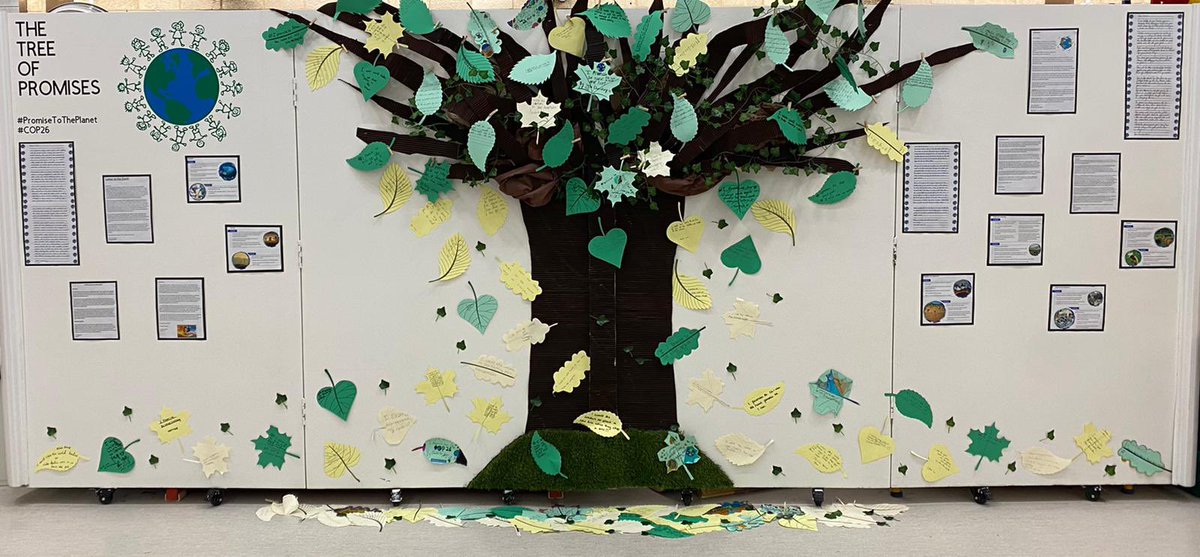 Hadrian Primary tweet media