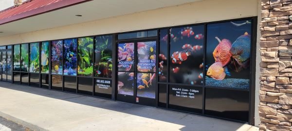 swami83's tweet image. With the holidays just around the corner, could your retail store use window graphics, a new lobby sign, or a tenant panel for the strip mall monument sign? #retailstoresigns #signsforretailstores #Gilbert #chandler #scottsdale #Phoenix bit.ly/3D7MTUI