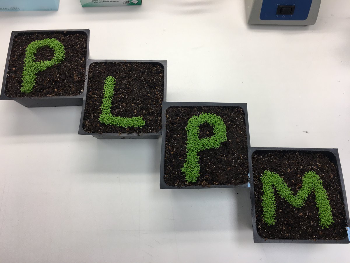 brendan_mormile's tweet photo. When you work in an interdepartmental plant science building and want everyone to know which department you're with #PLPM #PlantPathology https://t.co/B2EnQVGdub