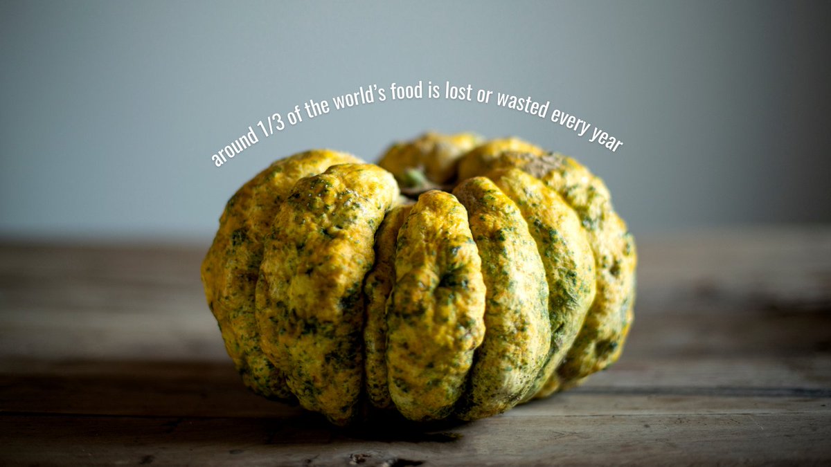 🐌 Join our vice-president, <a href="/ediemukiibi/">Edie Mukiibi</a>, in tomorrow’s panel discussion: “Winning the race: how to cut food waste” by <a href="/nytimes/">The New York Times</a> Climate Hub!

Tomorrow, November 11, 10:30-11:15 CET

👉 Register here: tinyurl.com/how-to-cut-foo…