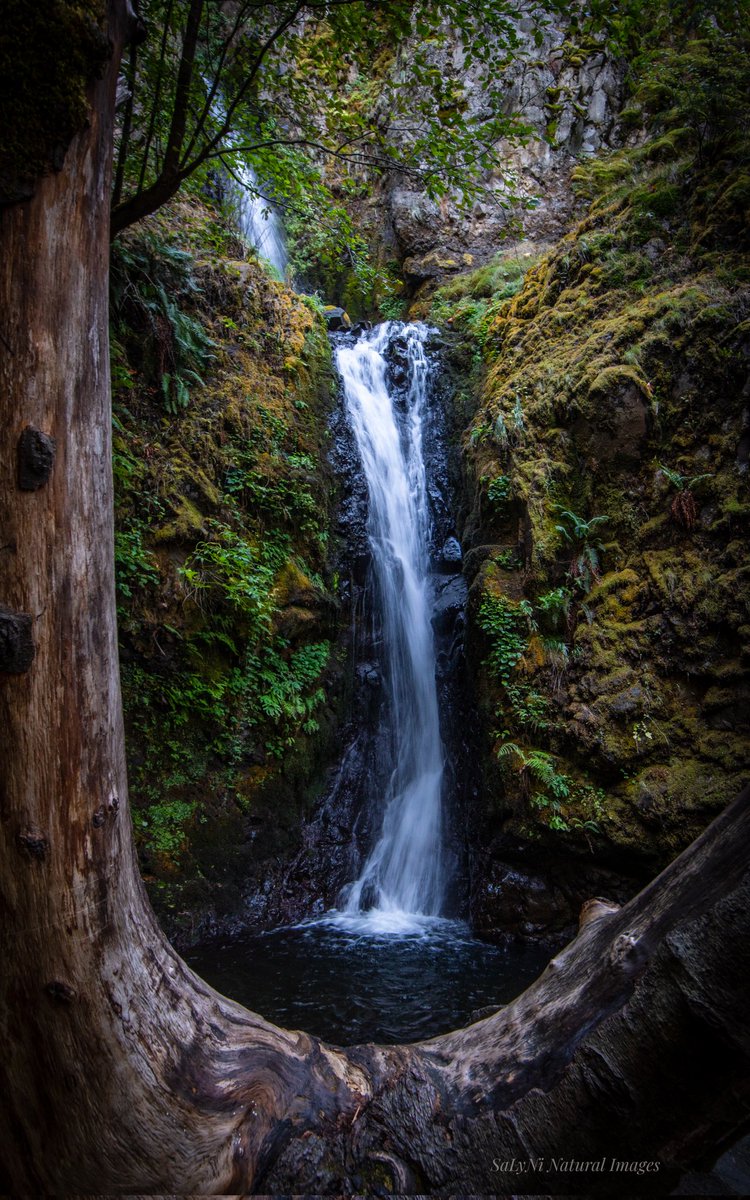 Windows 💦
#WaterfallWednesday 
#pnwwaterfalls #oregon 
#columbiarivergorge
#nikonphotography 
@ThePhotoHour @ForestServiceNW 
@GorgeFriends