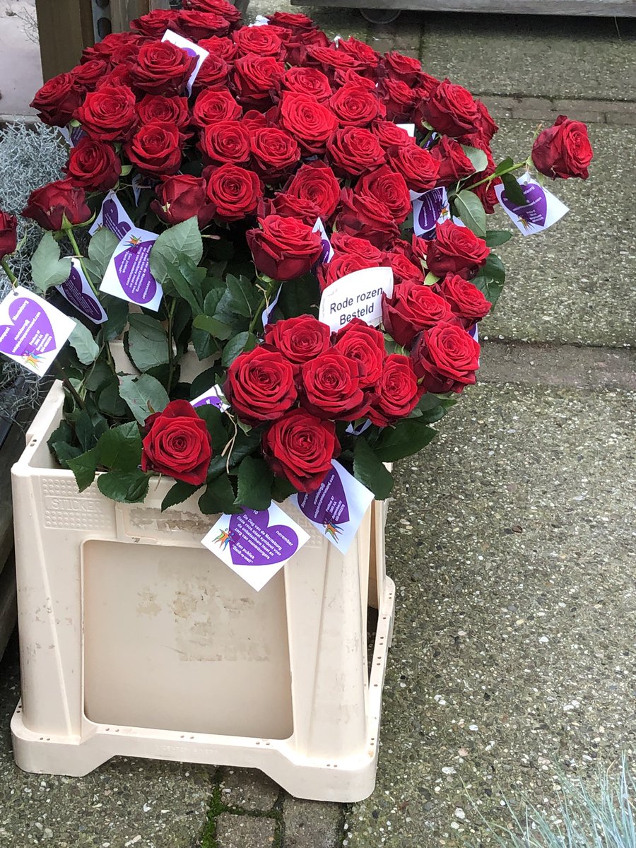 Als waardering voor de mantelzorgers heb ik samen met de medewerkers van Welzijn Krimperwaard rozen mogen uitdelen aan het winkelend publiek in Bergambacht. Zo goed om te horen dat er zoveel mensen zijn die anderen ondersteuning bieden! Mantelzorgers bedankt!